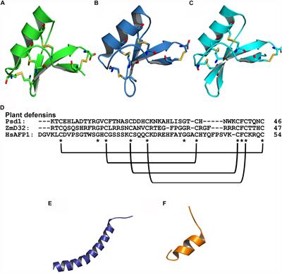 Bioactive Peptides Against Fungal Biofilms